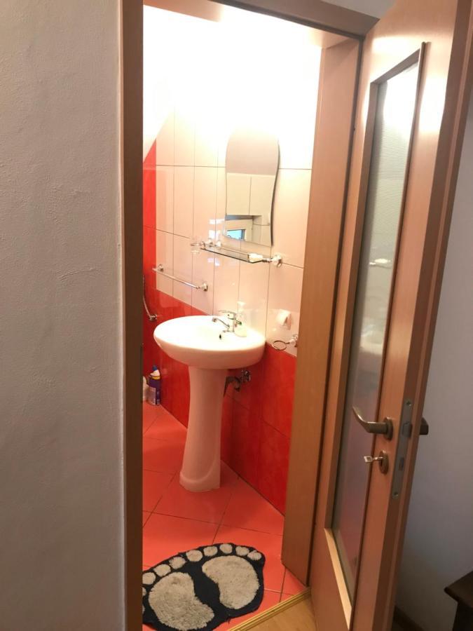Pensiunea Morosanu Borşa Eksteriør billede